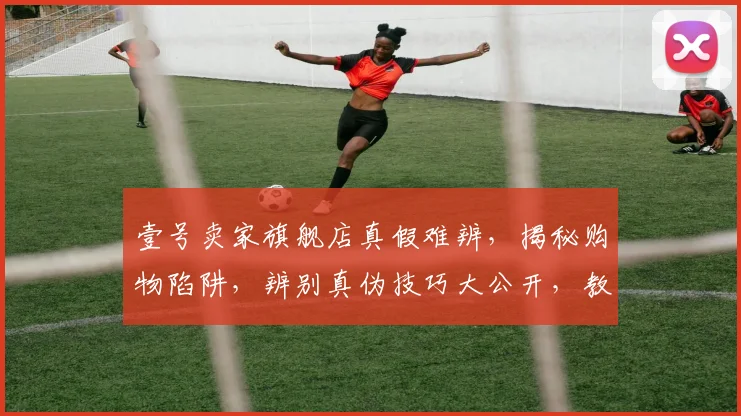 壹号卖家旗舰店真假难辨，揭秘购物陷阱，辨别真伪技巧大公开，教你轻松避坑