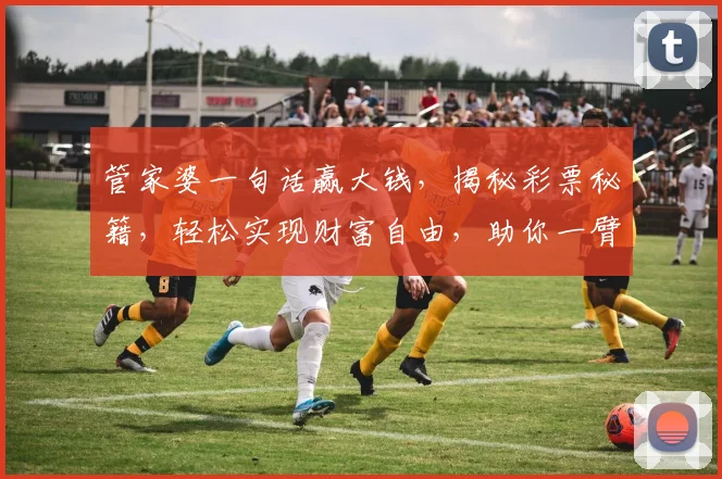 管家婆一句话赢大钱，揭秘彩票秘籍，轻松实现财富自由，助你一臂之力